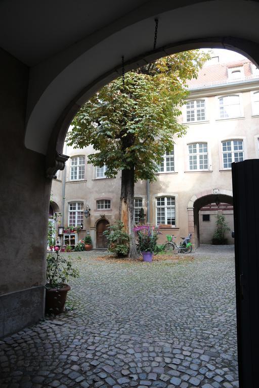 Les Dentelles - Appartement Meuble Design Petite France Strasbourg Eksteriør billede